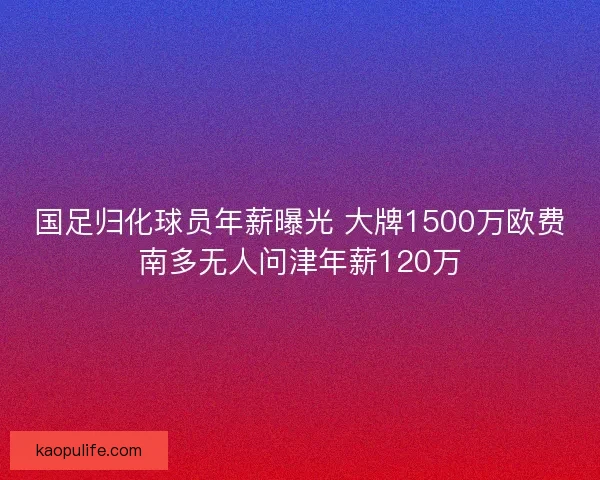 国足归化球员年薪曝光 大牌1500万欧费南多无人问津年薪120万 国足归化球员年薪曝光 大牌1500万欧费南多无人问津年薪120万