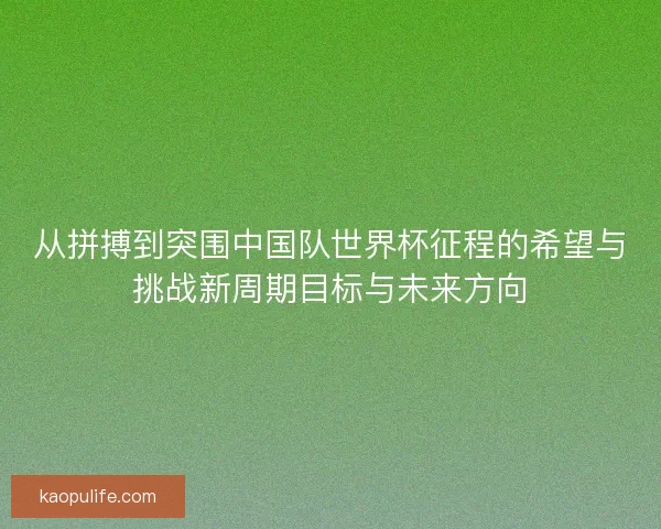 从拼搏到突围中国队世界杯征程的希望与挑战新周期目标与未来方向