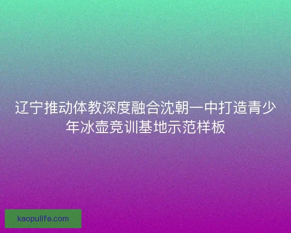 辽宁推动体教深度融合沈朝一中打造青少年冰壶竞训基地示范样板