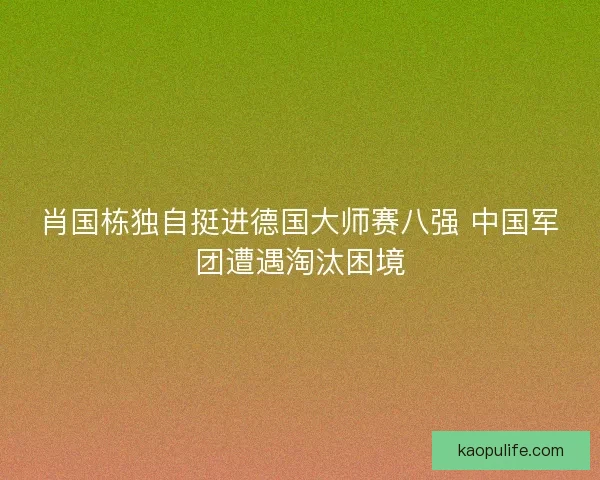 肖国栋独自挺进德国大师赛八强 中国军团遭遇淘汰困境