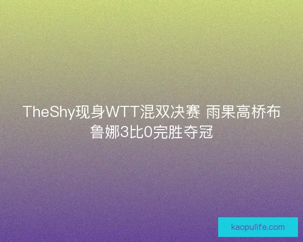 TheShy现身WTT混双决赛 雨果高桥布鲁娜3比0完胜夺冠